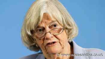 Suspicious man with 'wooden stick' seen at home 'linked to Ann Widdecombe suspect'