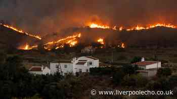 British woman, 93, dies in Spanish wildfires
