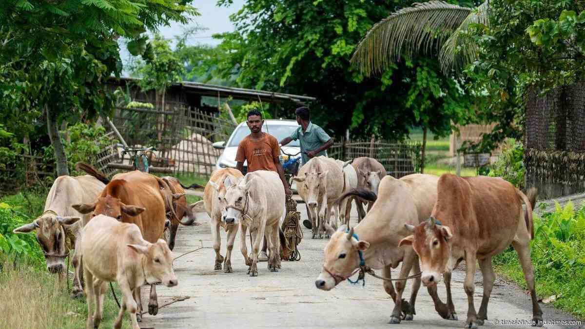 SC stays Madras HC order directing total ban on cow slaughter during Bakrid