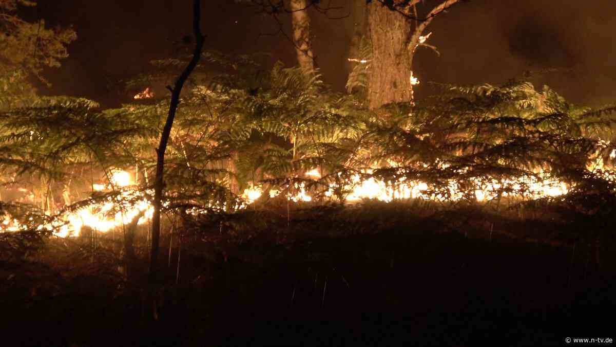 Autobahn teilweise gesperrt: Heftiges Feuer zerstört Hunderte Hektar im Wald von Fontainebleau