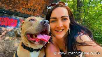 North East woman badly hurt in attack by dog she adopted on Facebook