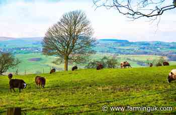 Beef and lamb roadmap charts route to 7.9% emissions cut