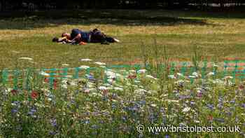 Met Office verdict on when UK heatwave will end