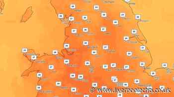 When the heatwave will end as Met Office says hot weather will 'continue'