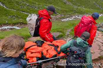 Labrador rescued from Ben Nevis after ‘eating discarded cannabis’