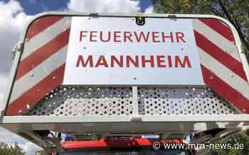 Mannheim/Heidelberg – Vielzahl an Flächenbränden im Zuständigkeitsbereich des PP Mannheim