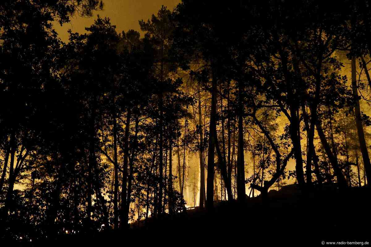 Waldbrand bei Paris – Löschflugzeuge im Einsatz