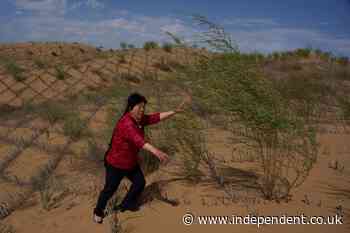 The ‘Green Great Wall’ of China: Scientists issue new warning despite 50 years of work to tame desert growth
