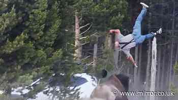 Grandad, 80, 'flipped like a ragdoll' in horror bison attack as helpless bystanders watch on