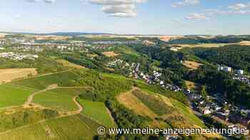 Historisch bedeutend – der älteste Weinkeller Deutschlands liegt an der Mosel