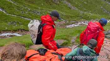 Labrador rescued from Ben Nevis after suspected cannabis poisoning makes full recovery