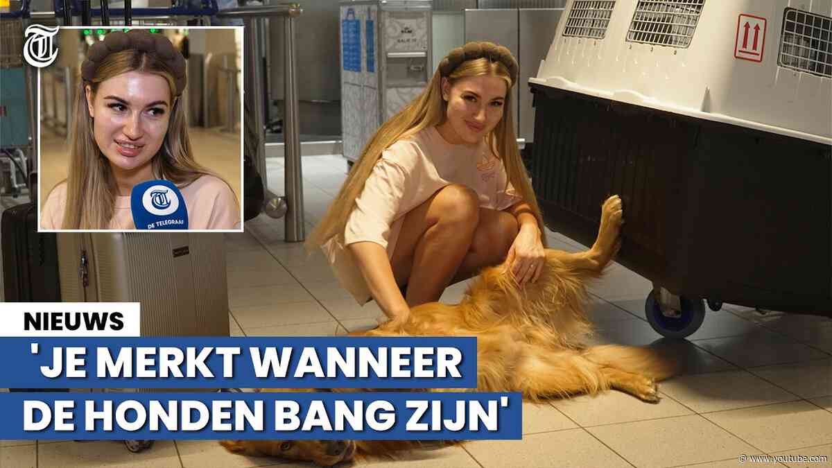 Alex neemt twee honden mee in vliegtuig maar is bloednerveus: ‘Het zijn m’n eerste kinderen’