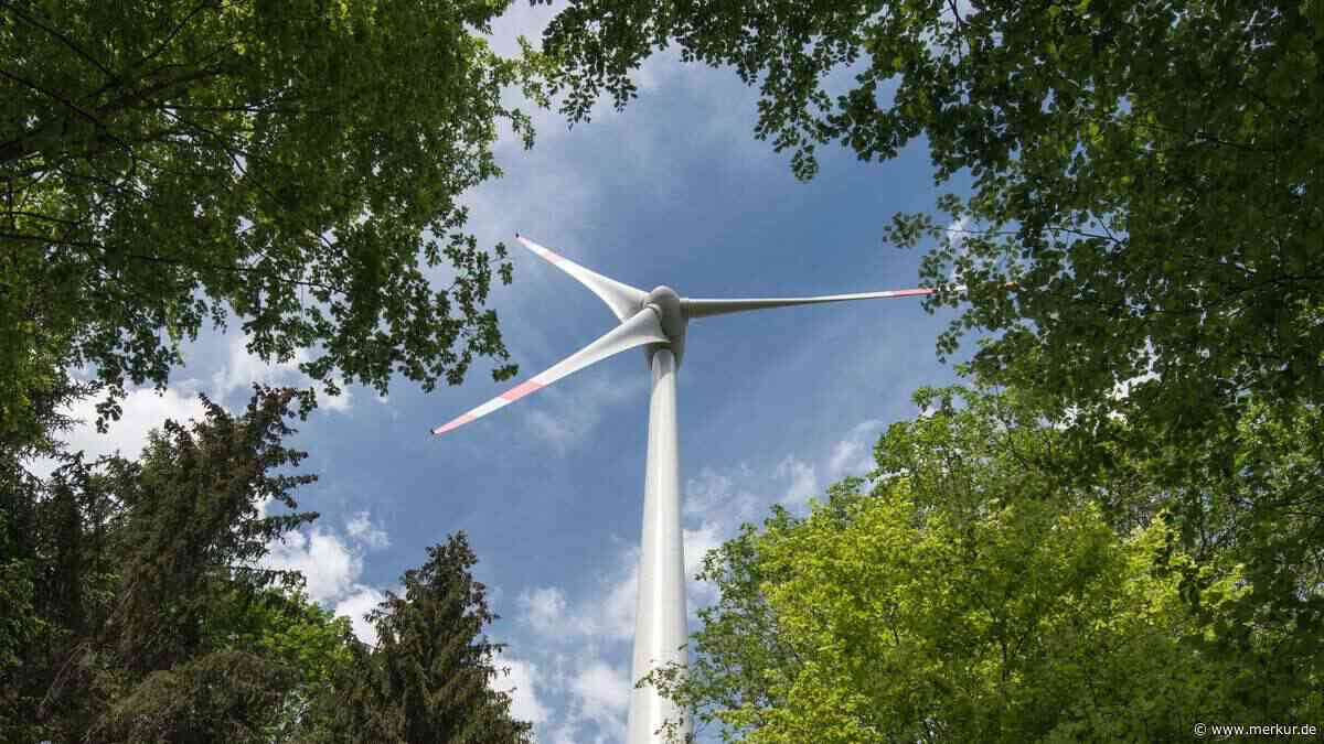 Windkraft: Mehr Rücksicht auf Bäume bei der Errichtung einer Anlage