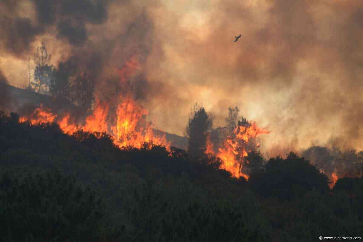 Incendie en Espagne : enseignante dans le Vaucluse, venue avec son mari dans leur maison de vacances... Ce que l’on sait de Stéphanie, la Française portée disparue