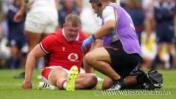 Wales fly in new player after Dewi Lake injury as team changes to be made
