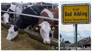 Anklage erhoben: Aiblinger Landwirt wegen Verdachts „quälerischer Tiermisshandlung“ vor Gericht