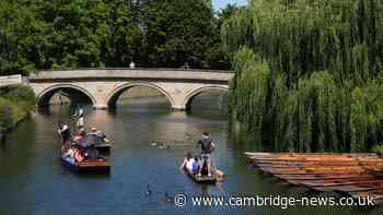 Latest on plans for 'national forest' larger than Isle of Wight between Oxford and Cambridge