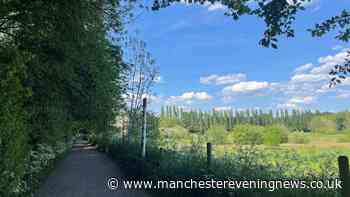 The Greater Manchester woodland walk with riverside views perfect for a sunny day