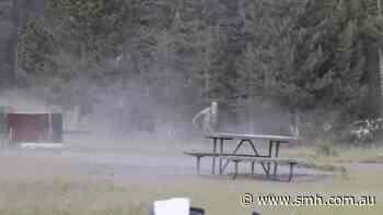 Rampaging bison flips camper more than two metres in the air