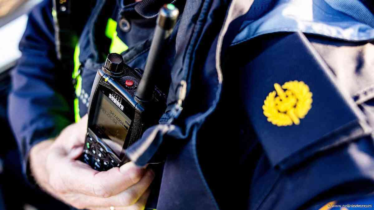 Politie krijgt melding van wolf in Wageningen, maar blijkt vermiste hond