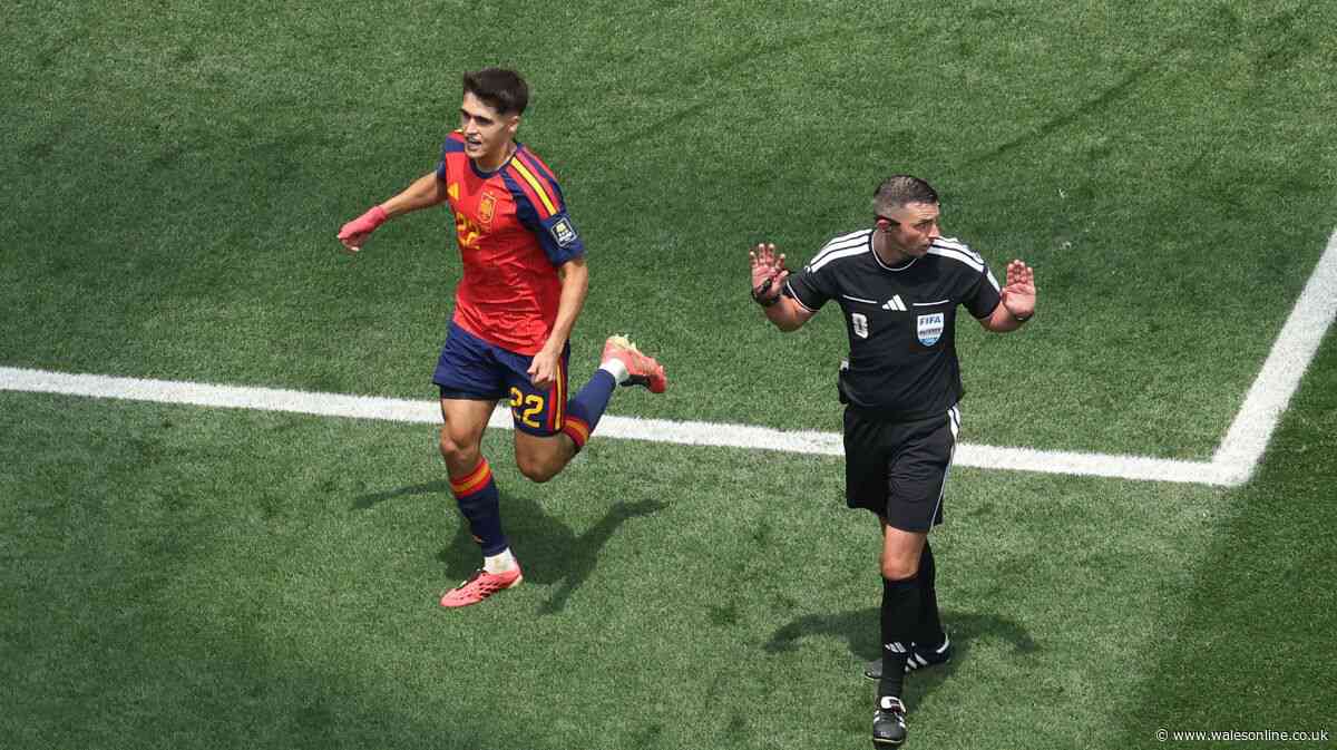 English World Cup referees miss out on thousands as they're banned from final