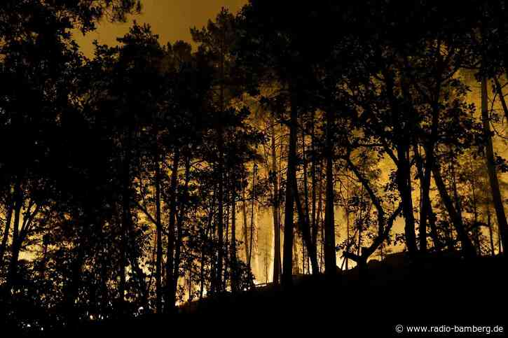 Waldbrand bei Paris – Verdacht auf Brandstiftung