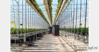 Royal Berry neemt Dutch Berries over