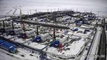 Gas aus Russland: Wie Europa immer noch Putins LNG-Geschäft am Laufen hält