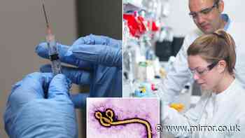 Ebola hope as British scientists make major vaccine breakthrough