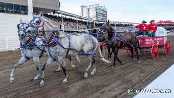 Attendance, affordability and animal welfare in the spotlight as 2026 Calgary Stampede wraps