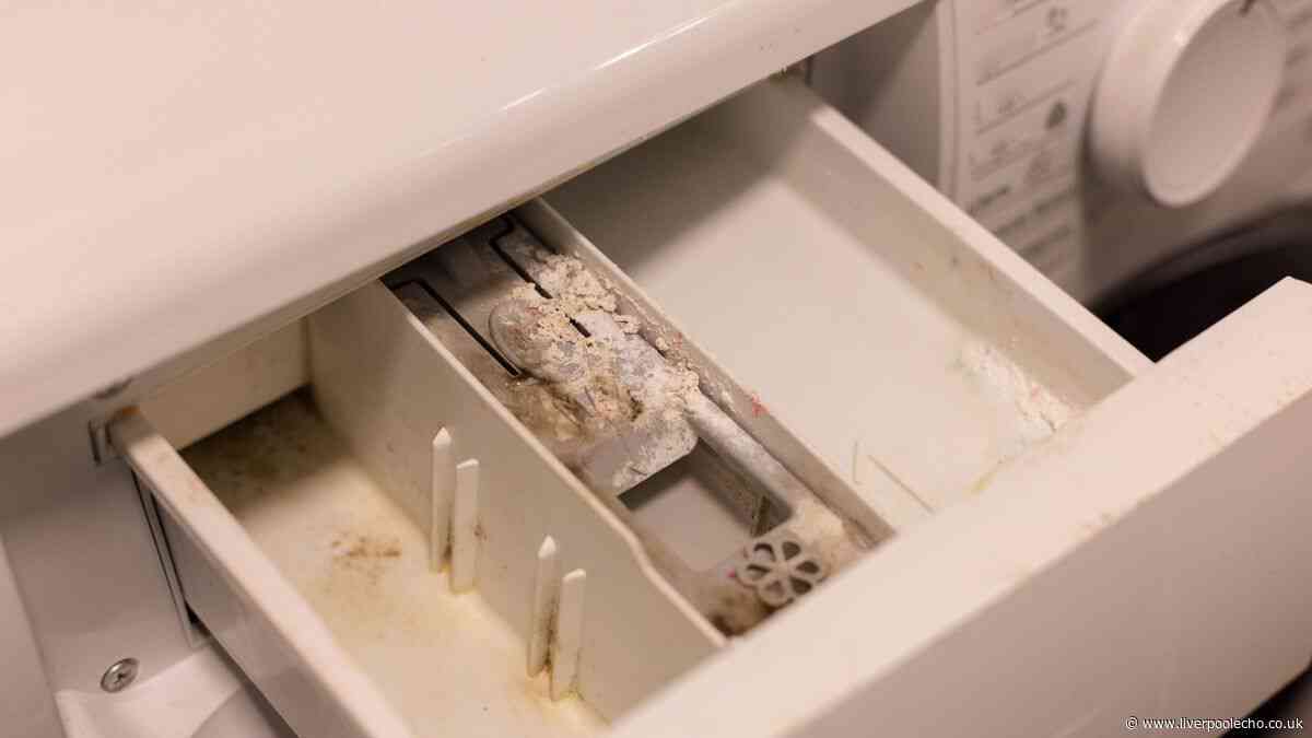 Washing machines will 'never' have black mould if you do simple two-second task