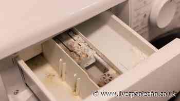 Washing machines will 'never' have black mould if you do simple two-second task