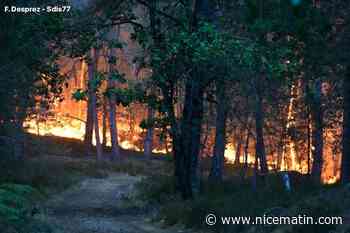 800 hectares parcourus, 900 personnes évacuées, « une origine volontaire » évoquée… On fait le point sur l’incendie qui ravage la forêt de Fontainebleau