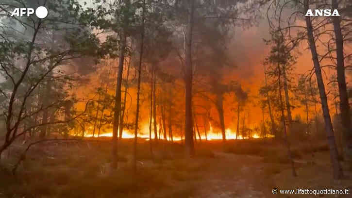 Brucia la foresta di Fontainebleau: il rogo “eccezionale” alle porte di Parigi – Video