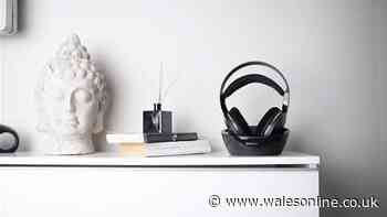 'Beautiful' £77 headphones with impeccable sound' at the lowest price we've seen