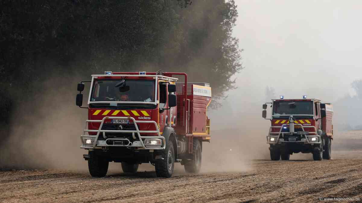Frankreich: Großer Brand im Wald von Fontainebleau bei Paris