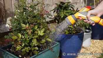 POLL OF THE DAY: Will you abide by a hosepipe ban in your area?