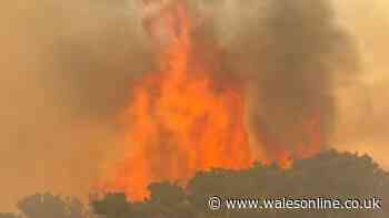 Woman recalls the terror of waking up to huge blaze above her home