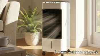 'Powerful' £99 portable air cooler 'needed in this heat' drops to £59