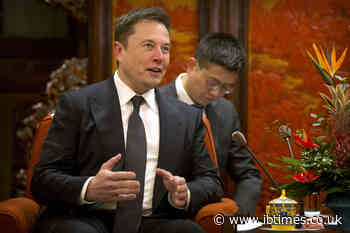 New 'Anti-Elon' ETFs Allow Investors to Avoid Tesla and SpaceX