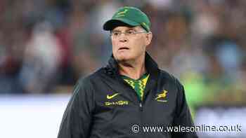 Springboks rip up team to face Wales as Rassie Erasmus brings in four new faces