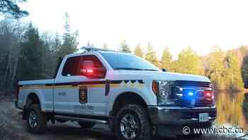 Essex man fined $3K for illegally hunting deer in Elgin County