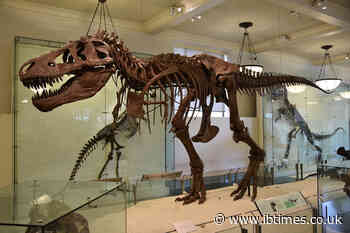 Billionaires Race To Buy $30M T. Rex Fossil for Their Collections; Scientists Fear Losing Access to History
