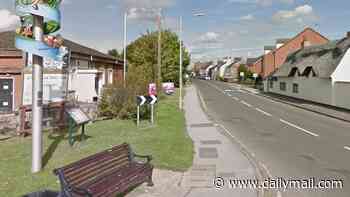 Girl, 4, dies after being hit by a car in a village as man, 59, is arrested for causing death by dangerous driving