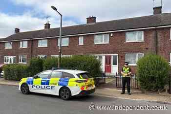Ann Widdecombe murder suspect: What we know as man re-arrested by counter-terrorism police