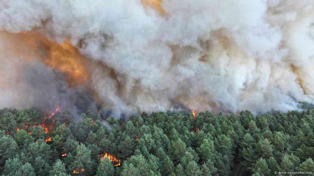 LIVE | Bedwingen natuurbrand nabij Parijs kan nog dagen tot weken duren