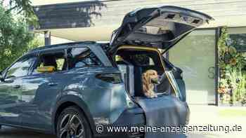 Mit Fressnapf und Haustierföhn – Peugeot E-5008 Dog Edition