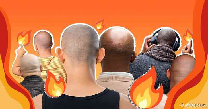 The ‘Pitbull Effect’ is giving single bald men the summer of their lives