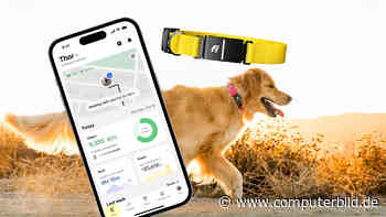 Fi Ultra: Halsband hilft bei der Hundesuche mittels Starlink-Satellit