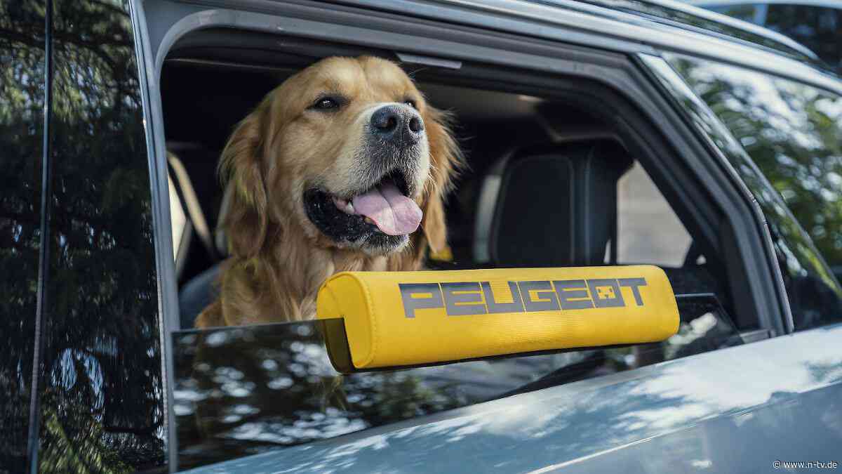 Auf Hunde zugeschnittenes Auto: Peugeot E-5008 Dog Edition - mit Fressnapf und Haustierföhn
